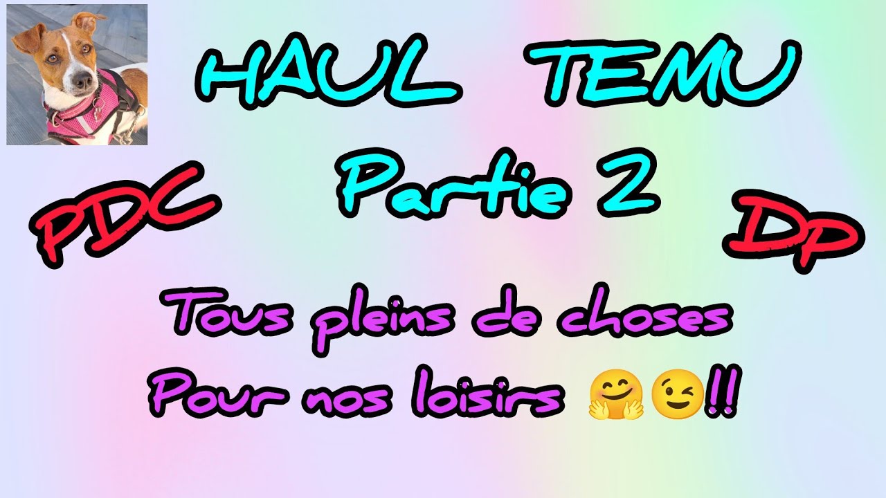 HAUL TEMU Partie 2 #temu #dp #pointdecroix #divers #plaisir #pourtous 