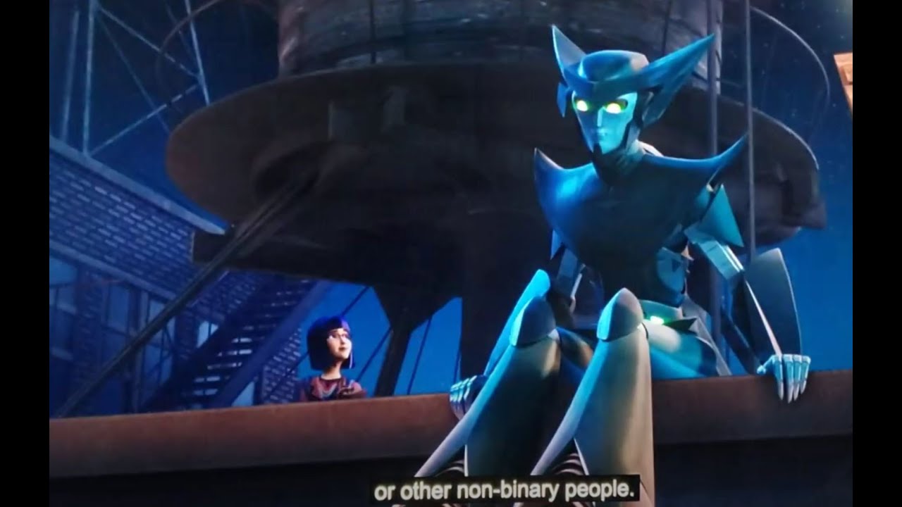 Non Binary Transformer uses They Them Pronouns