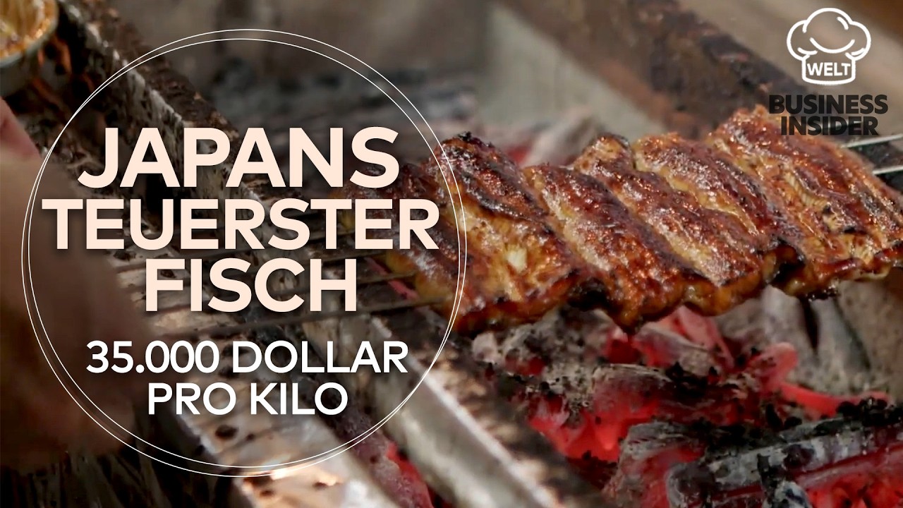 UNAGI: 35.000 Dollar pro Kilo! Dieser japanische Fisch ist fast so kostbar wie Gold | FOOD REPORTAGE