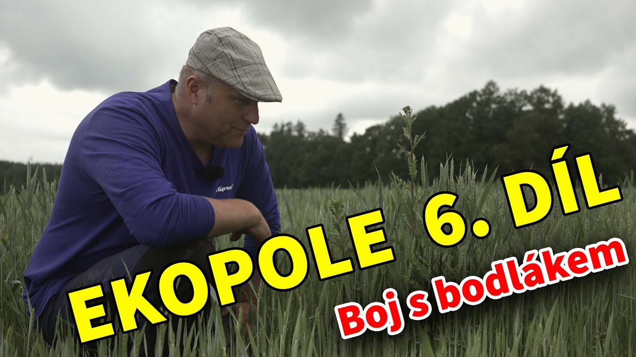 Ekopole - Jak na bodláky 6. díl - 4K