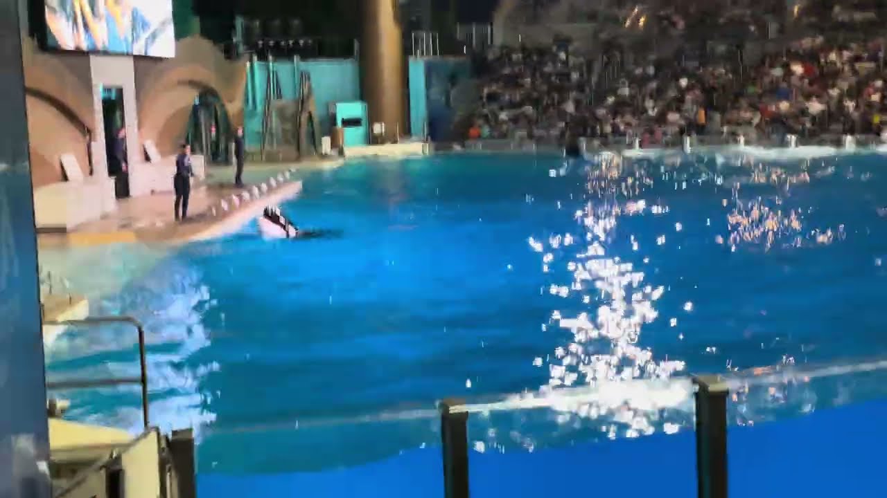 Welcome to the Soak Zone in SeaWorld