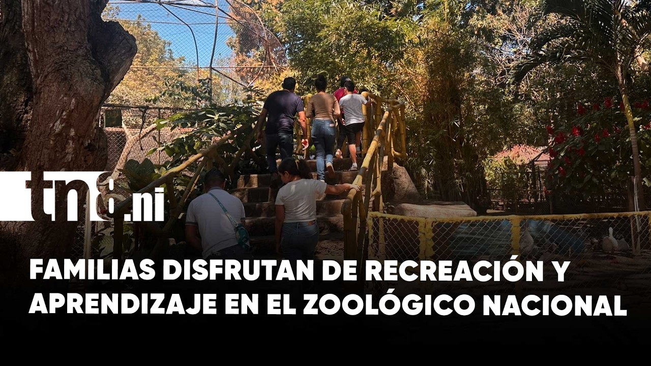 Familias nicaragüenses abarrotan el Zoológico Nacional en jornada educativa
