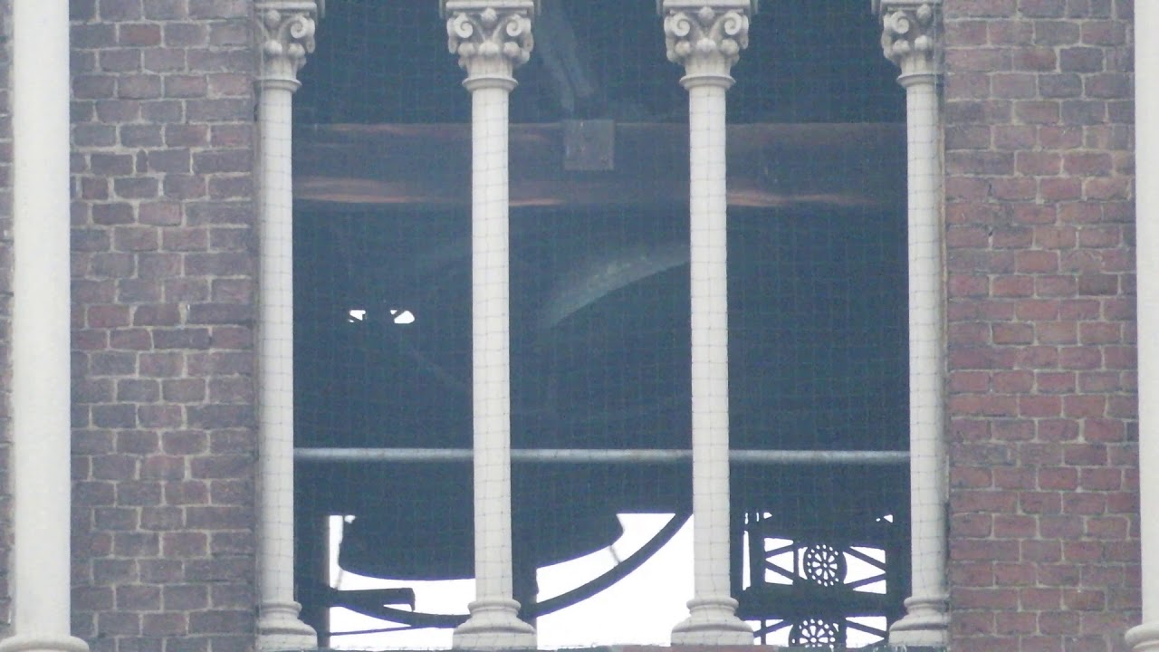 Le Campane di Torino - Chiesa di San Bernardino - Distesa Festiva