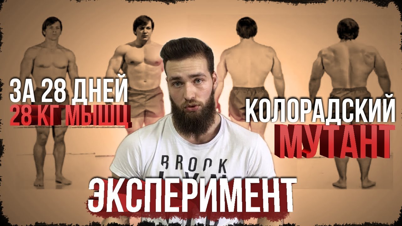 Разоблачение Колорадского Эксперимента (28 КГ МЫШЦ за МЕСЯЦ)