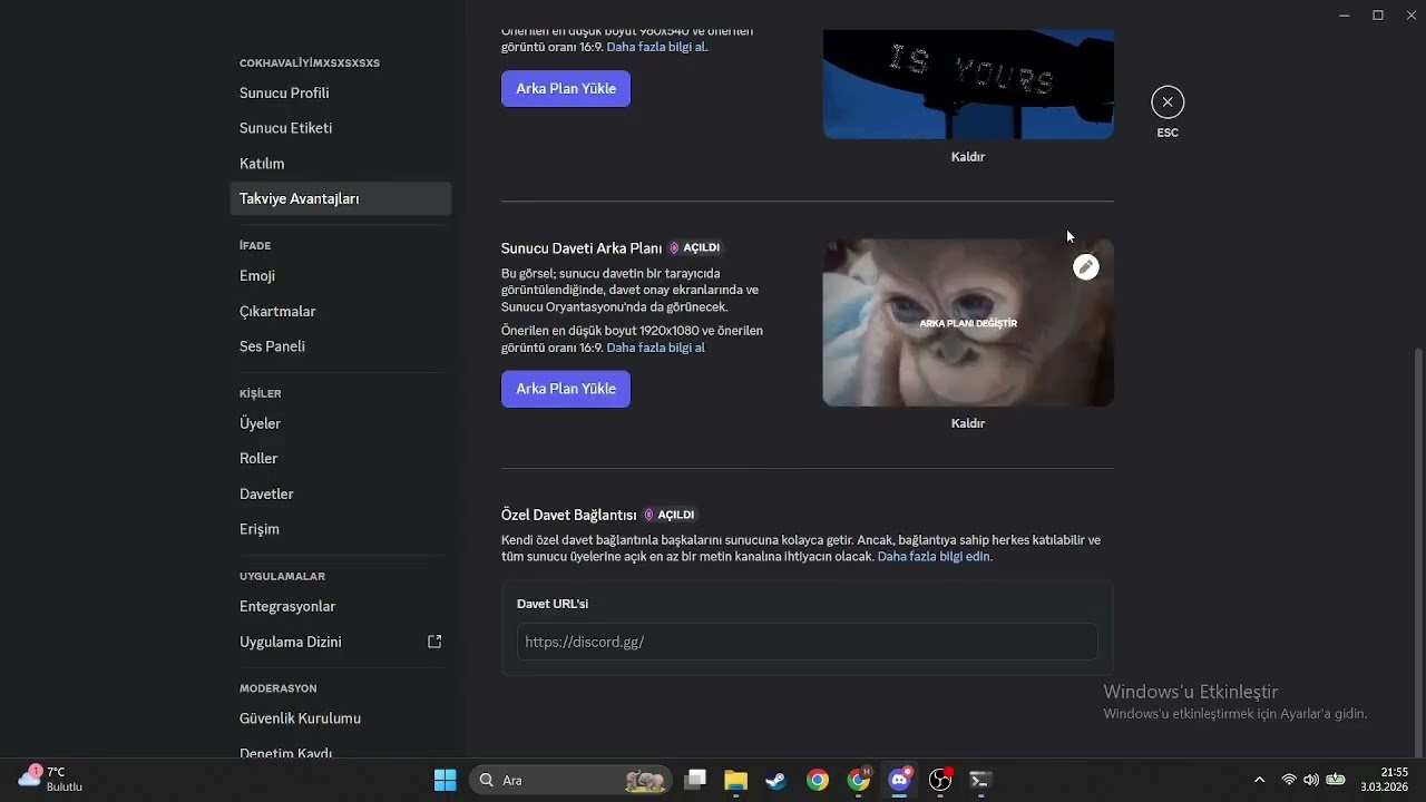 Discord Vanity Url Sniper 2026