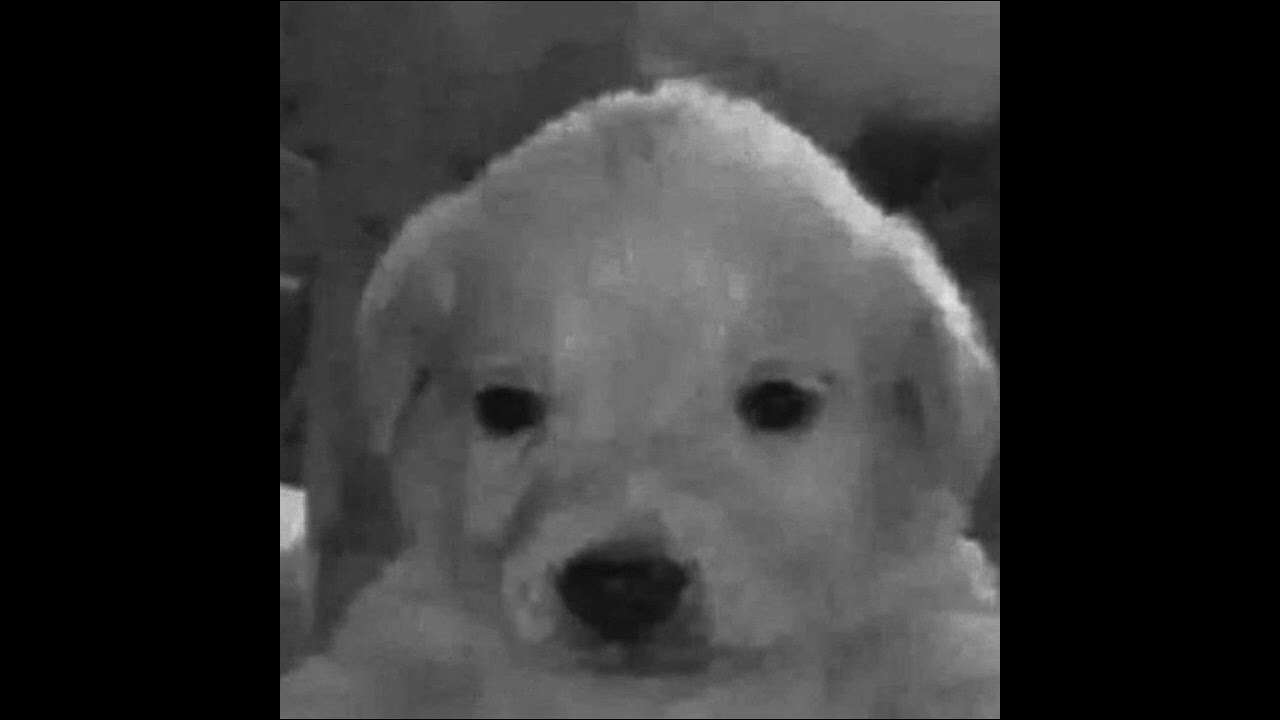 Soy Tilin (Parodia de Creep) (full version)