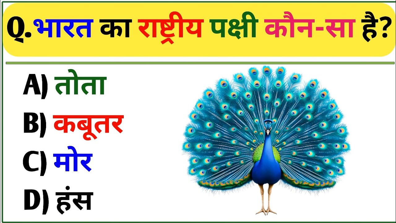 GK In Hindi || GK Question And Answer || GK Question || GK Quiz ||