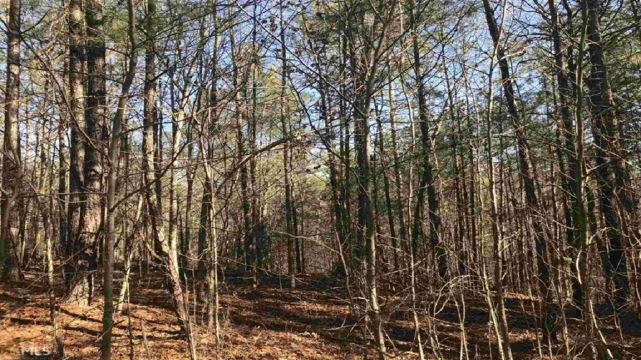 0 Cole Rd, Winston, GA Presented by Tracy Coleman.