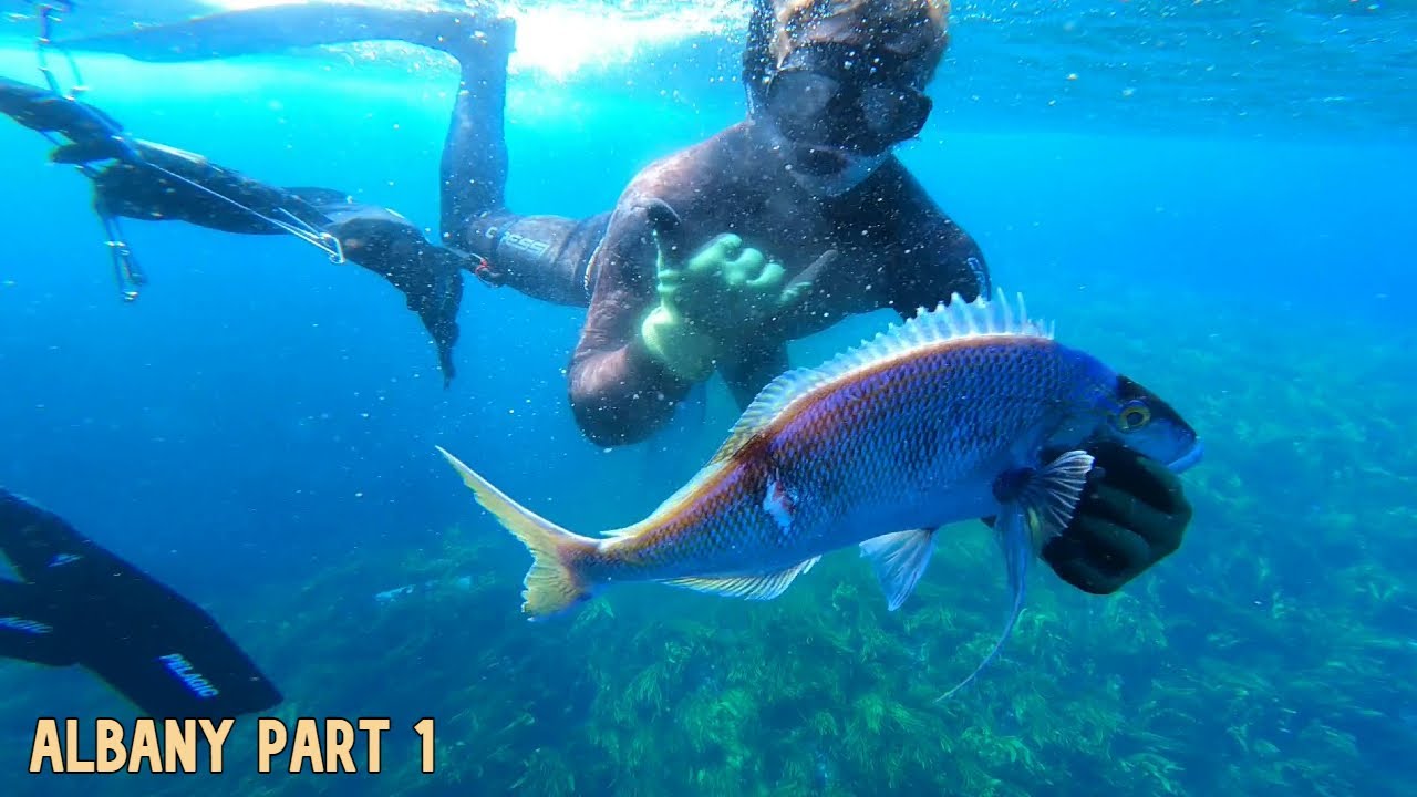 Spearfishing at the Gap Albany | Part 1 of 5 | Vlog 15