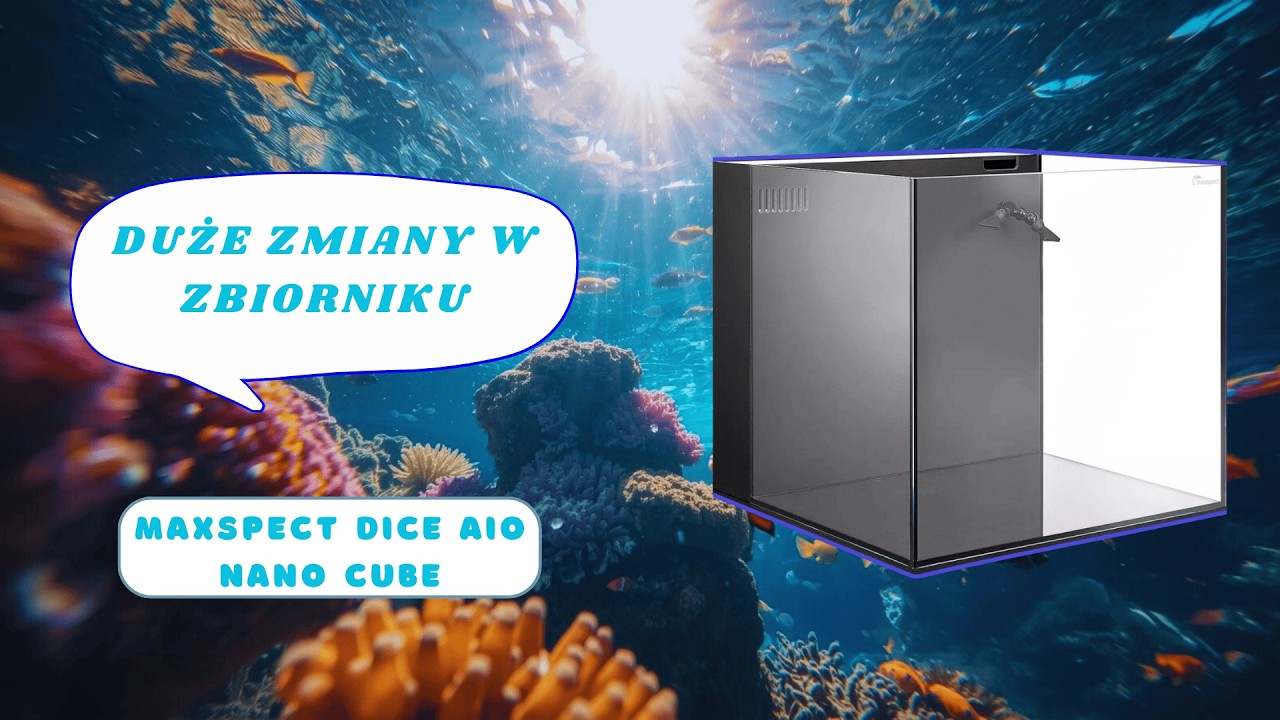 Ten Maxspect Dice zmienił się nie do poznania… aktualizacja zbiornika! | Reeftime