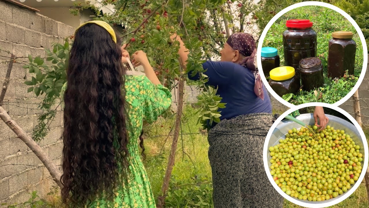 Homemade Iranian Plum Paste | Grandma’s Original Recipe 👵🏻👩🏻‍🦱