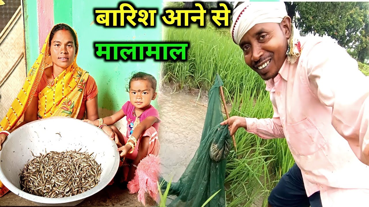 बारिश आने से इतने सारे मछलियां पकड़े || लोगों की भीड़ लग गई || daily vlog 