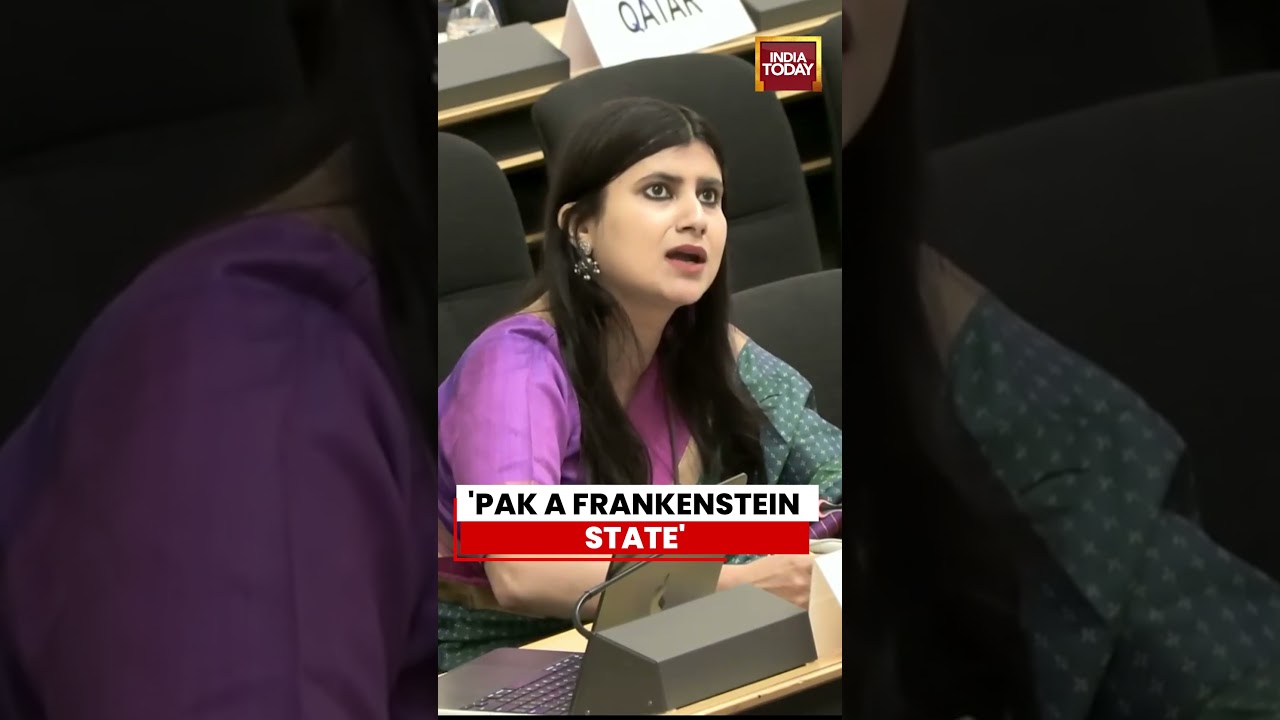 'Pakistan A Frankenstein State, Shocked When Its Own Monsters Bite': India Slams Pakistan At UNHRC