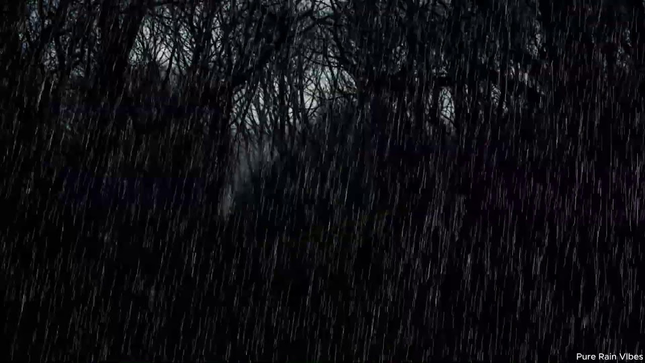 Sleep Instantly with Rainstorm Sounds | Black Screen 10 Hours