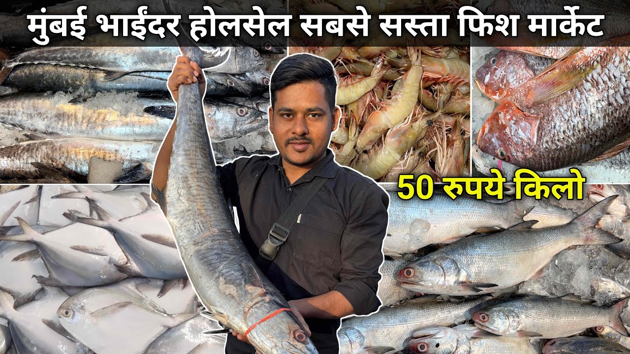 Mira Bhayandar Fish Market | Bhayandar Wholesale Fish Market | Wholesale Fish Market In Mumbai