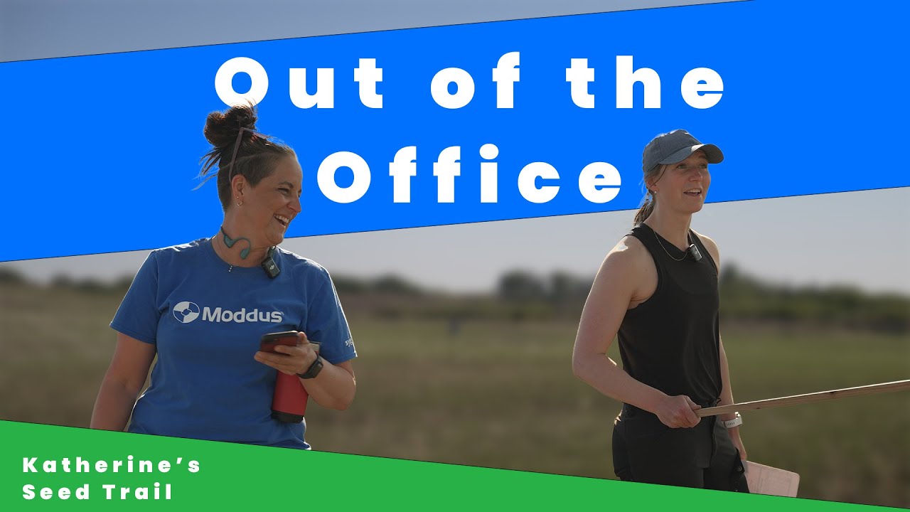 Katherine's Seed Treatment Trail | Out Of The Office