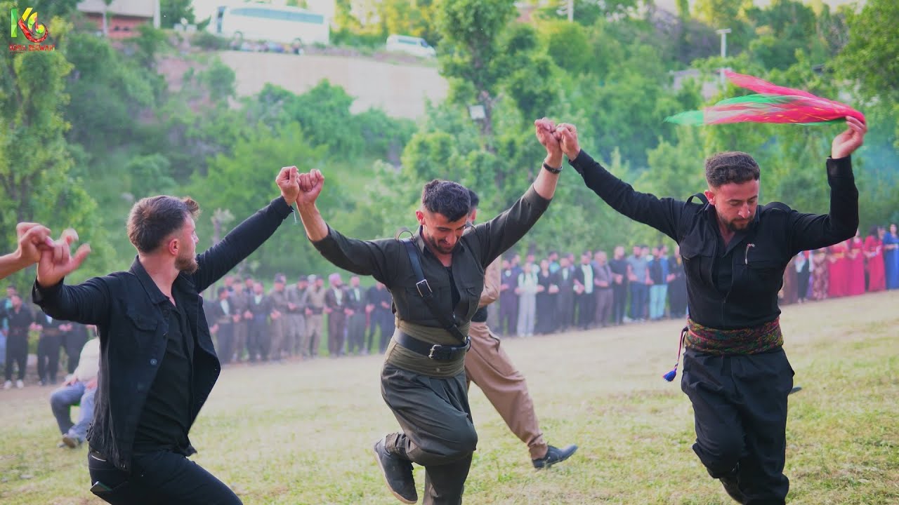 Şiyar Berwari -  Şenoba Babat Ailesi Düğünü [ 2023 ©  ] شيار برواري Wedding