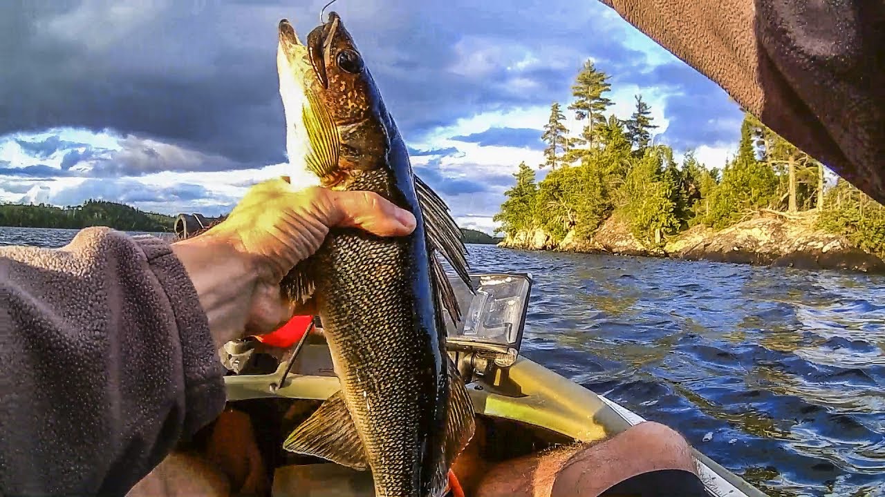 Walleye Fishing the BWCA - Brule Lake