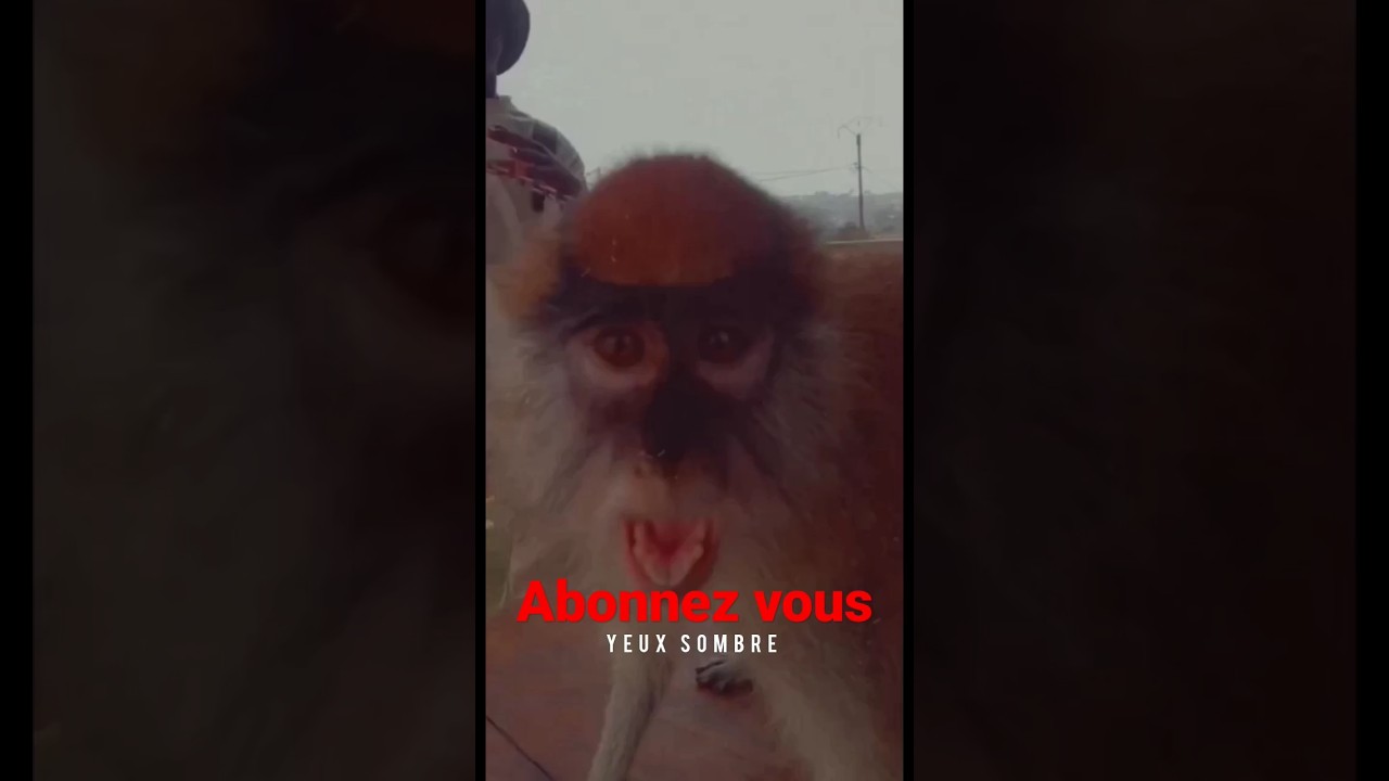 Quand m&ecirc;me clip officiel bient&ocirc;t dispo #nouvelletendance #lapepite #Yeuxsombreofficiel