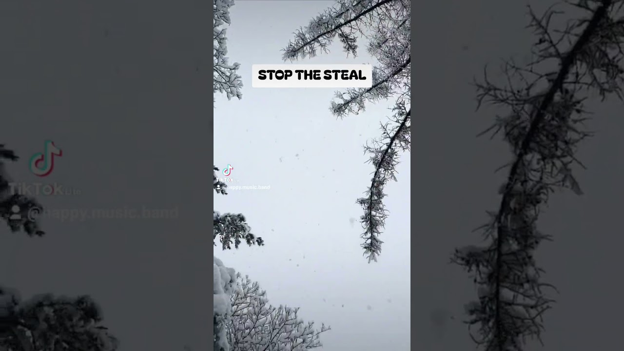#StoptheSteal!#StealtheStealing!