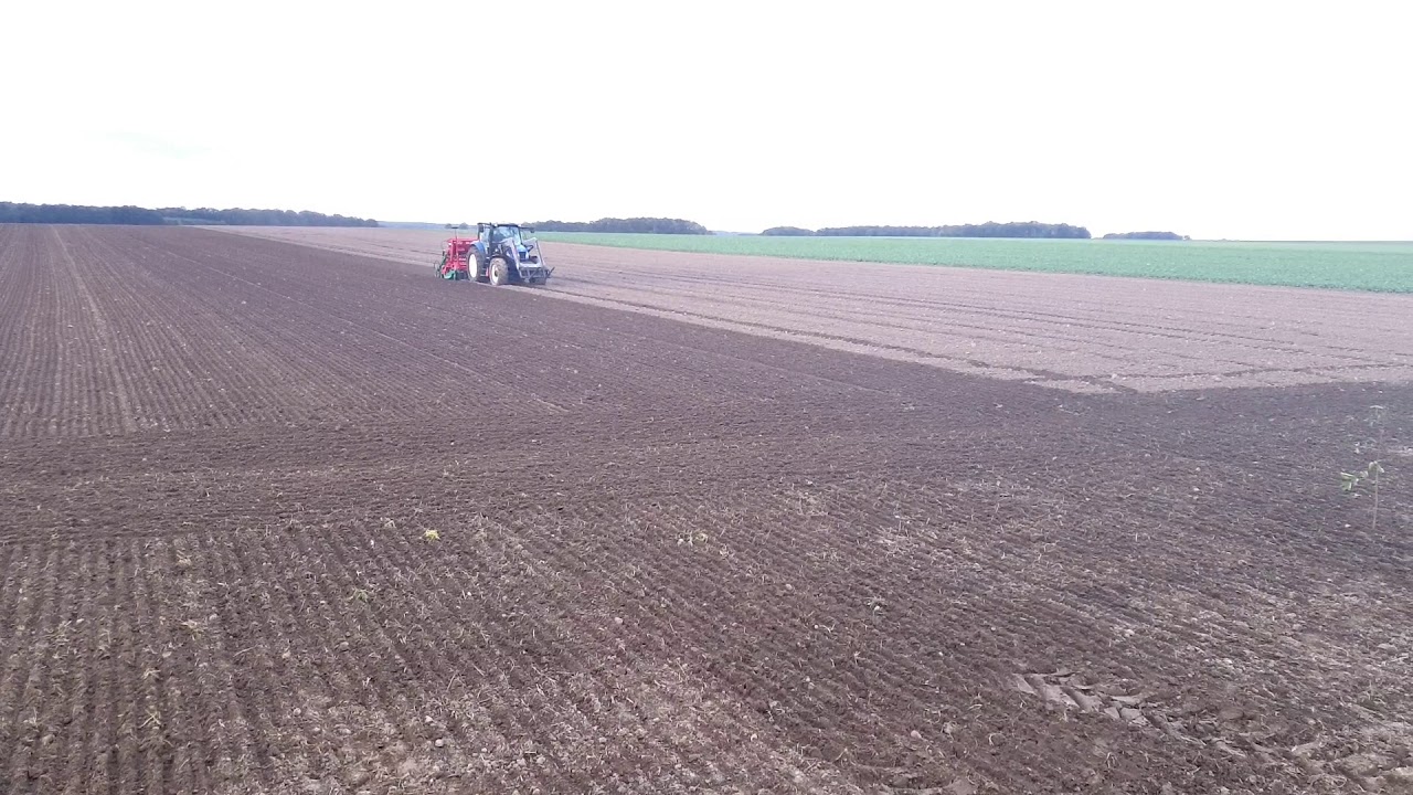 New Holland T6030 / siewnik Agro-Masz sn300 #1