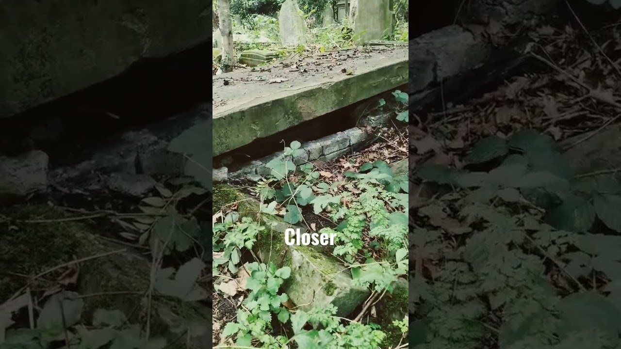 most haunted grave? i dare you to check it out #shorts #Cemetery