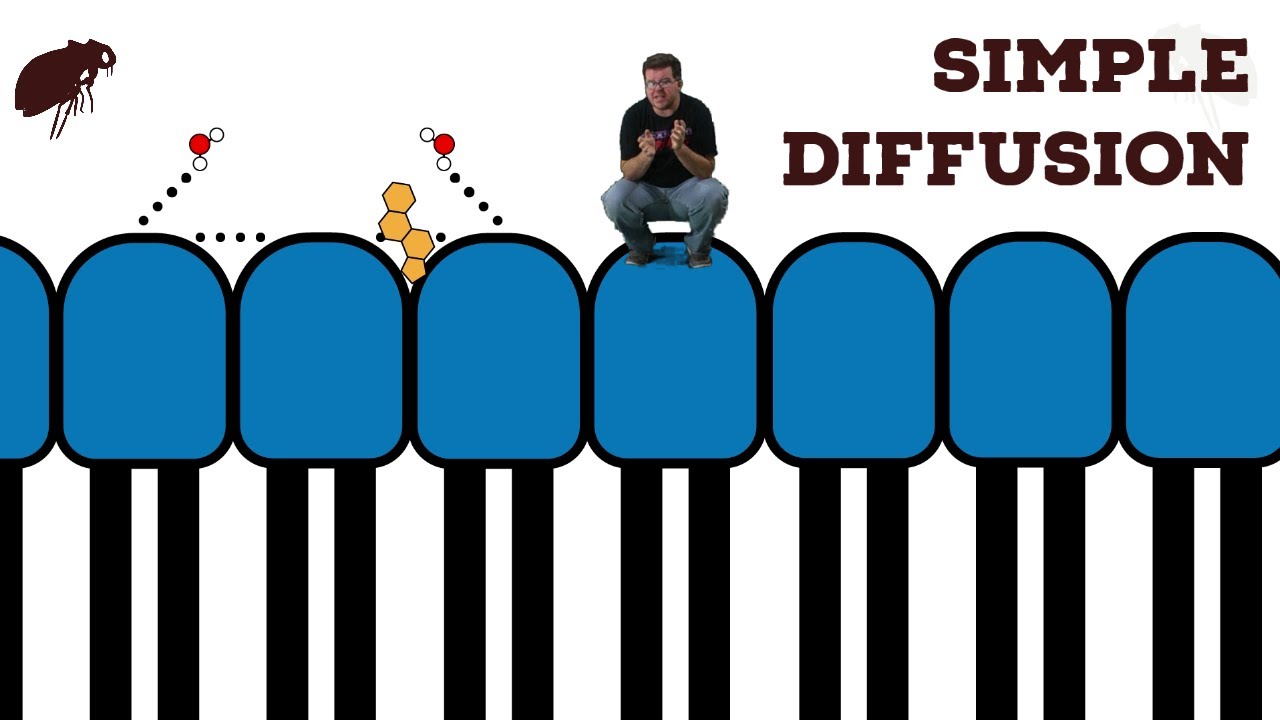 Simple Diffusion