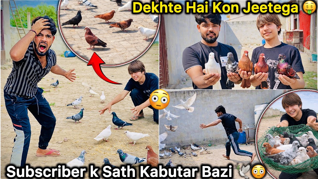 Kabutar Bazi Lag Gayi 🤑 || Kitne Sare kabutar Jeet Liye 🕊️🔥