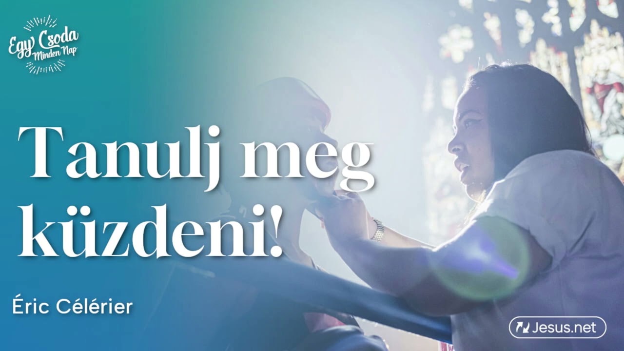Testvérem, tanulj meg küzdeni!🥊