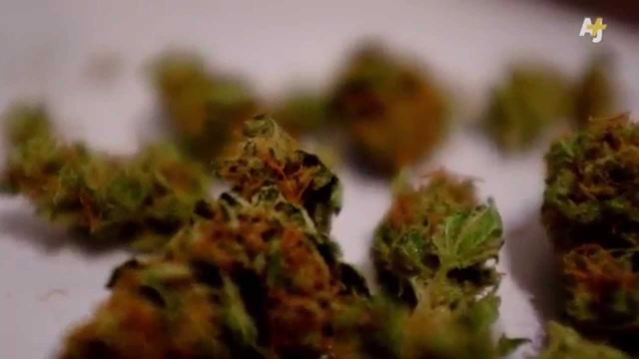 Should Weed Be Legal?