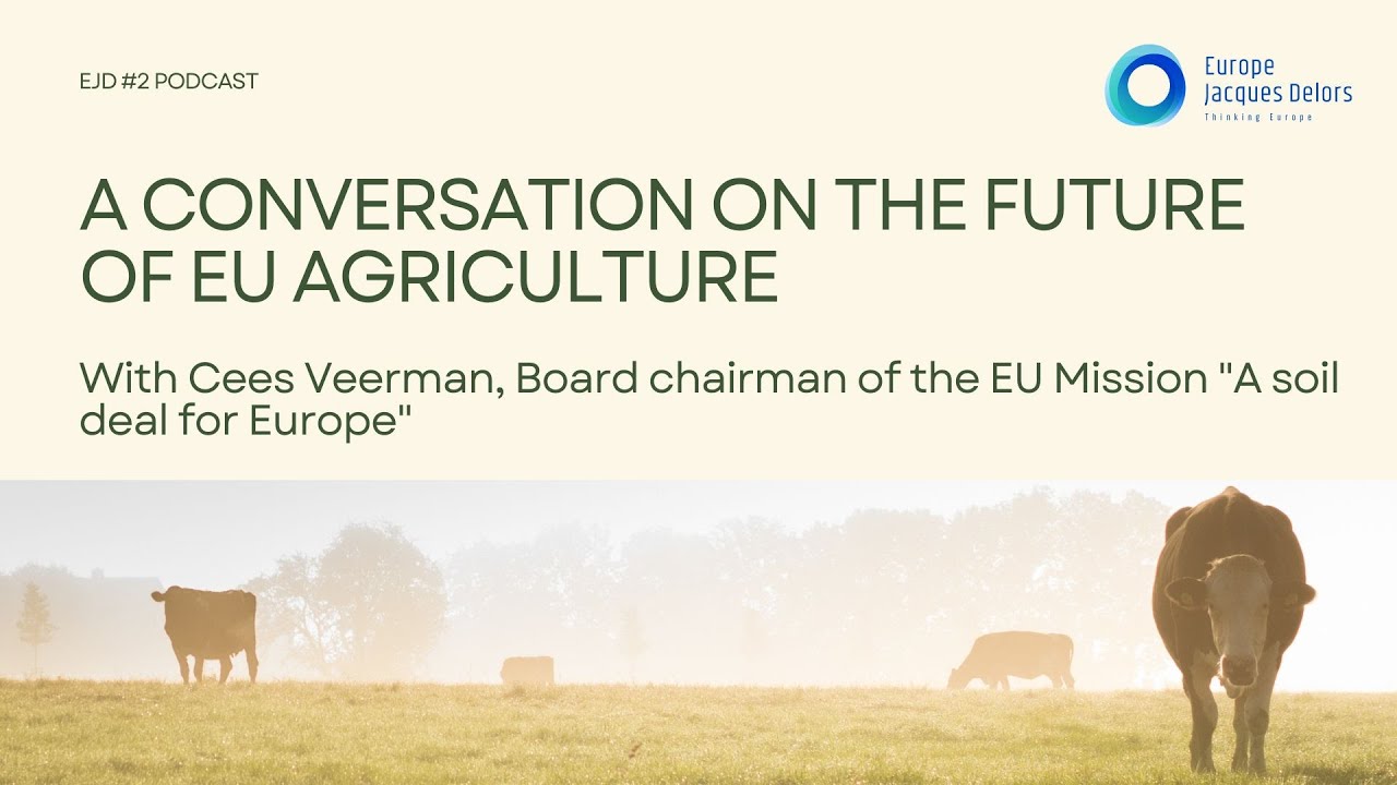 Conversation with Cees Veerman on the future of EU agriculture