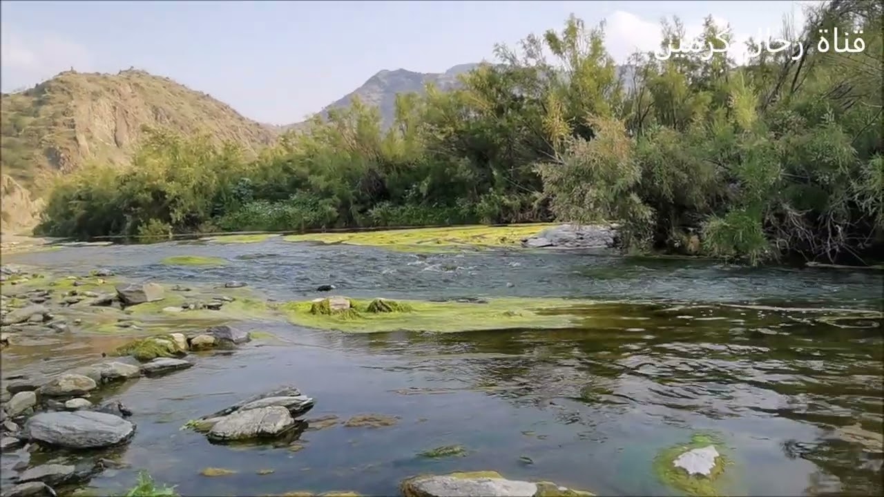 مناظر طبيعية وخلابة من وادي تربة زهران بمحافظة المندق 1444/10/22/ تصوير عبدالله مراد