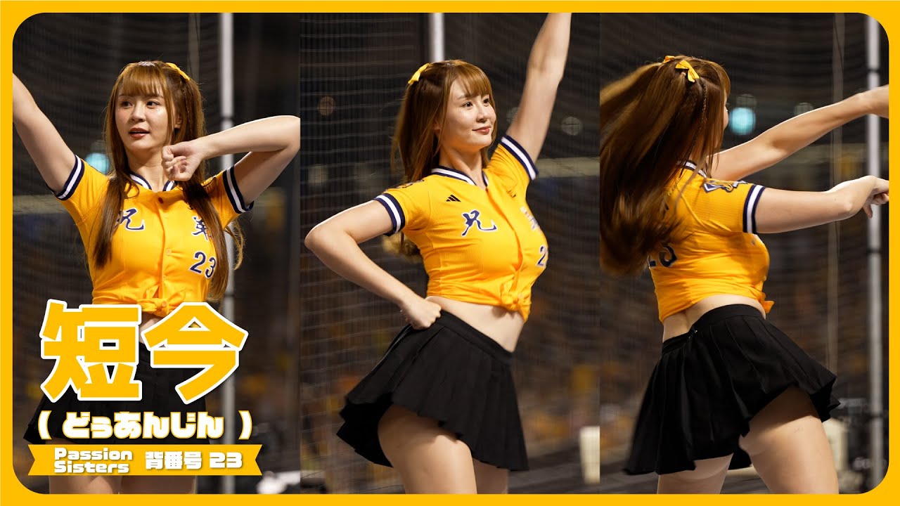陳子豪應援📣 短今（Sammie）Passion Sisters 中信兄弟啦啦隊  cheerleader 치어리더 臺北大巨蛋 2024/8/2【台湾チアTV】