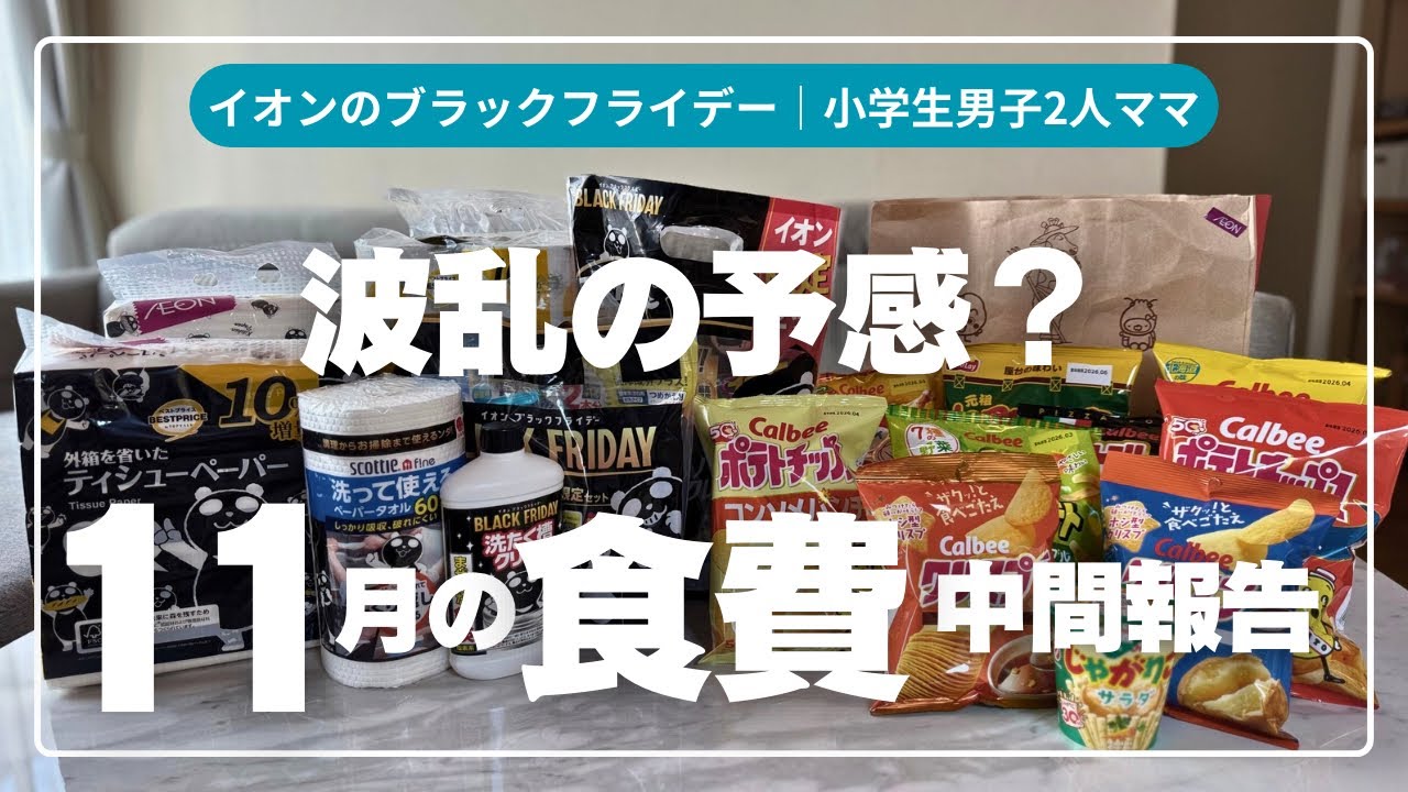 イオンでのブラックフライデー購入品紹介と11月の食費中間報告