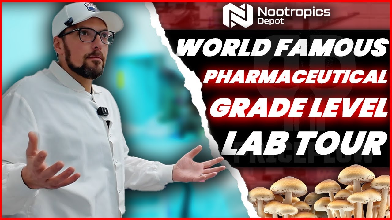 Nootropics Depot's Pharmaceutical-Grade Labs: What Supplement Quality Actually Looks Like