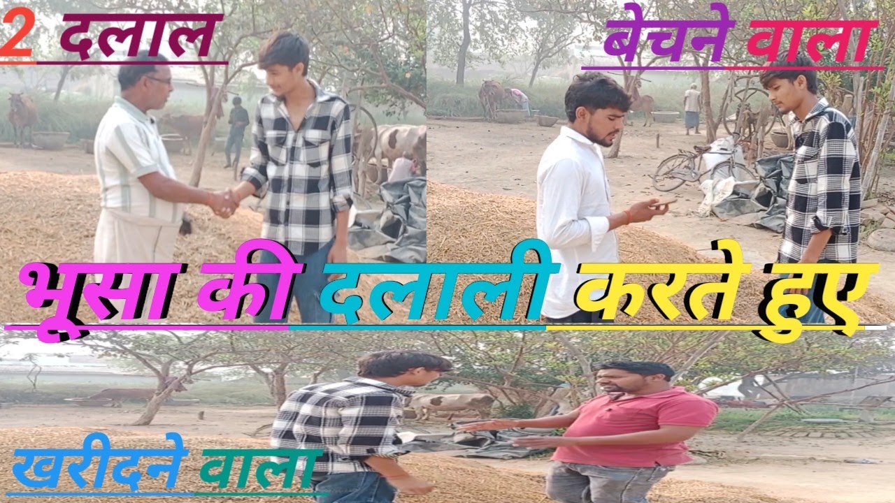 भूसा का दलाल। गांव का दलाल #comedy #badal Dudhiya 