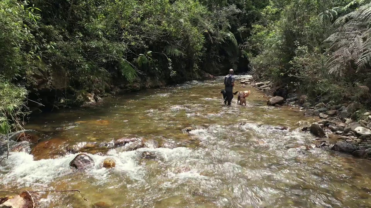 Caminata El Retiro - Cascada El Toro