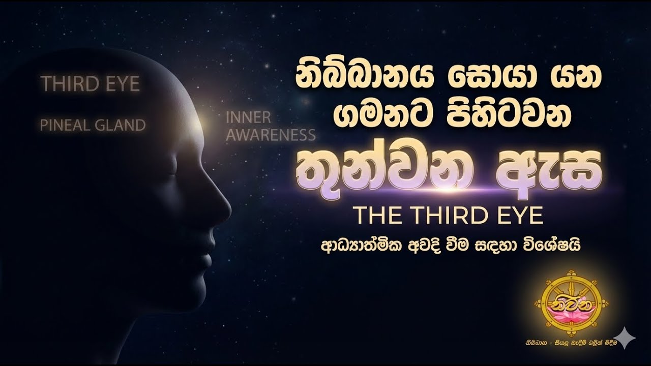 The Third Eye | Inner Awareness & Pineal Gland Explained |තුන්වන ඇස|ආධ්‍යාත්මික අවදි වීම #niwana