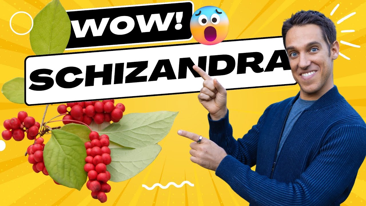 Benefits of Schizandra for Skin Health, Liver, Brain & More!