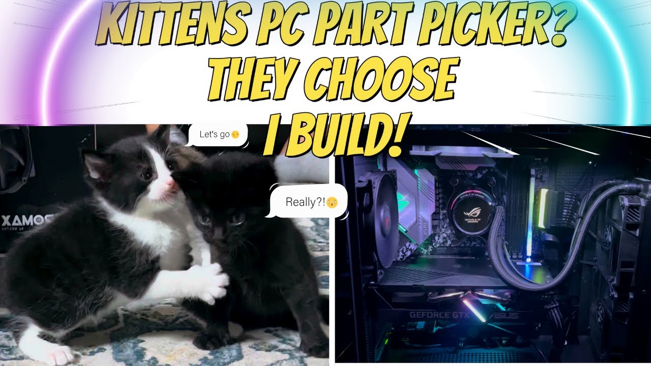 Kitten PC Part Picker Challenge? This is gonna be cute. The Kittens help us upgrade TT's Gamin PC!