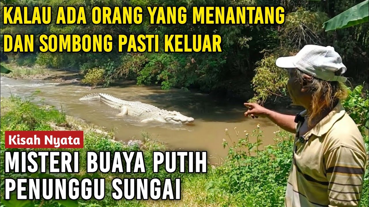 Kuasa Tuhan !! Ikuti Mbah kandam menunjukkan lokasi istana buaya putih