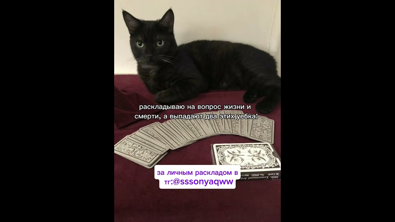 тг:@sssonyaqww 