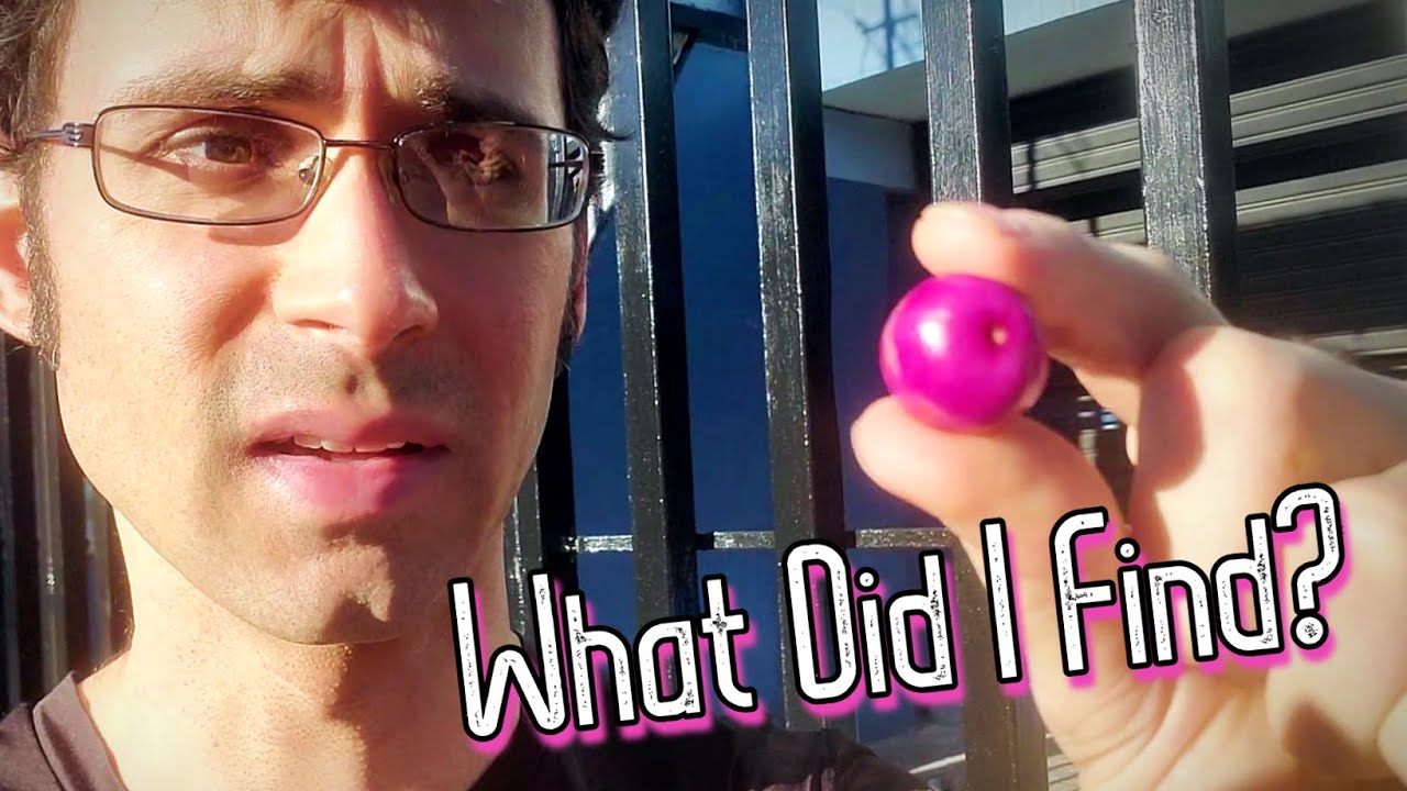 FRUIT HUNTING in the Streets of Costa Rica - Weird Fruit Explorer