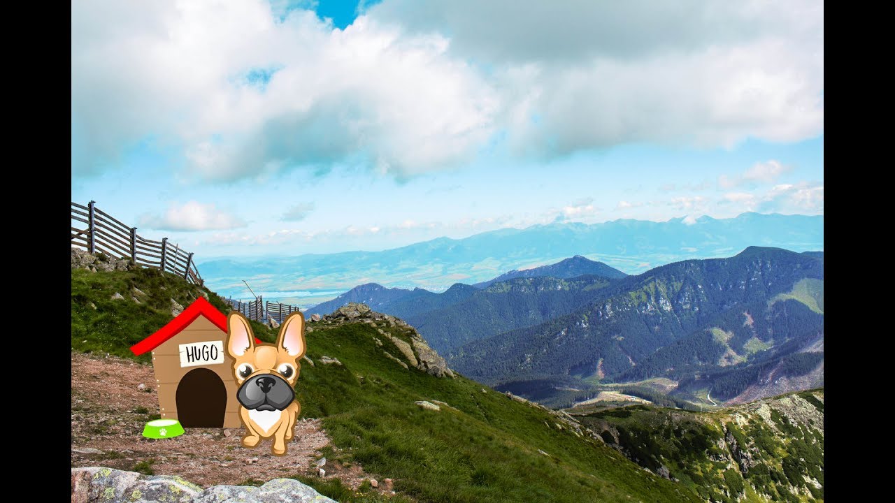 Hotel SKI, N&iacute;zk&eacute; Tatry, Travelking.cz
