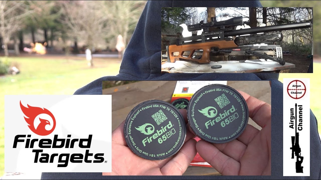 Firebird Targets BIO65 (ExplodingTargets) Full Review with ZAN Slugs & Vulcan 3 Accuracy