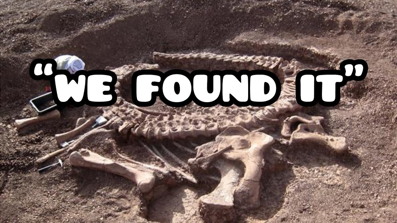DINO DIG | BIG FIND | BONYAYS BACKYARD 