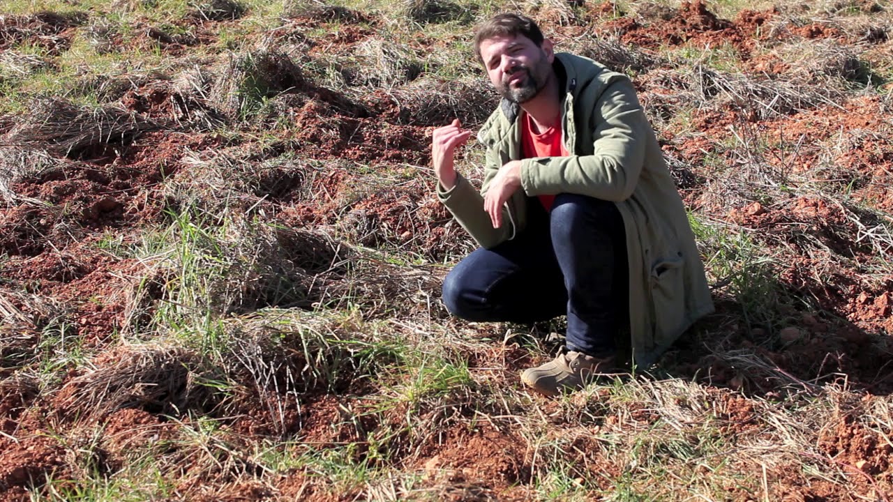 Wild Boar Control