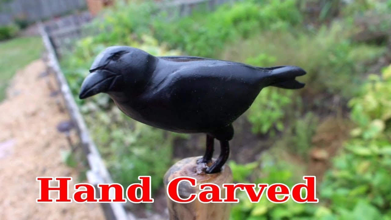 Carve a Crow Topper for a Walking Stick