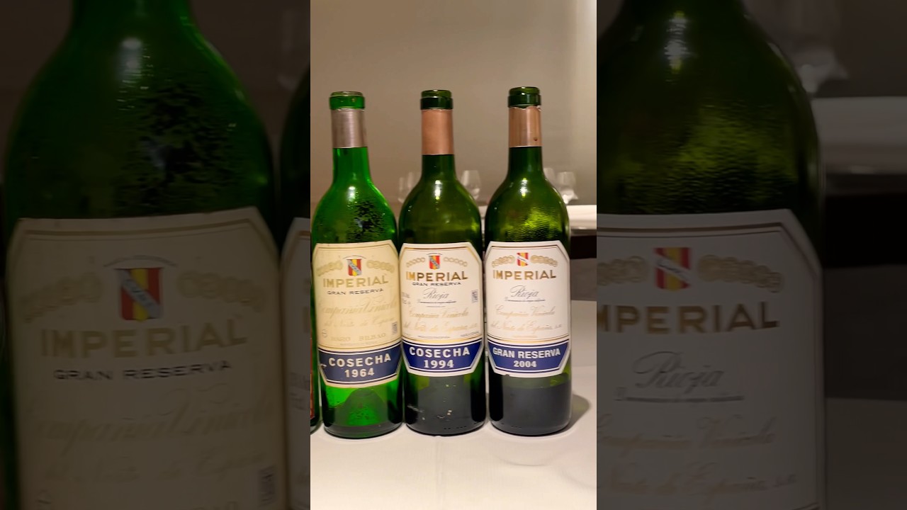 120,000 bottle WINE CELLAR Tour! Rekondo, San Sebasti&aacute;n 🍷