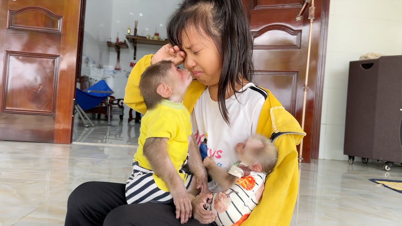 Emotional😱 Thao Ly's sister burst into tears when she had to say goodbye to monkey SinSin & ZiZi
